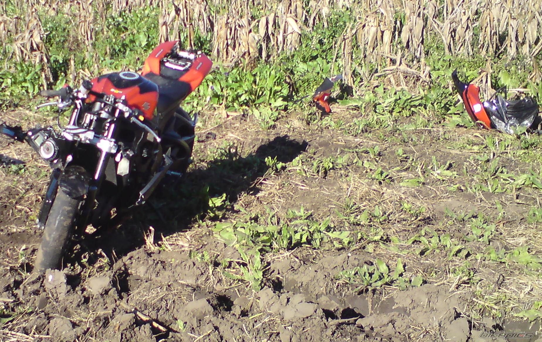 Photo 1754015