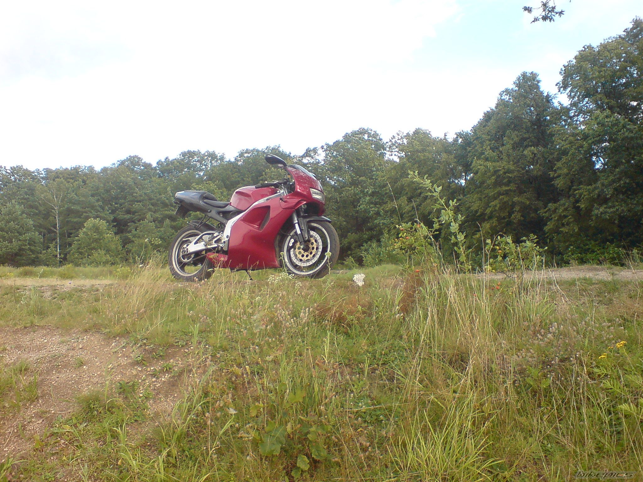 Photo 1754017