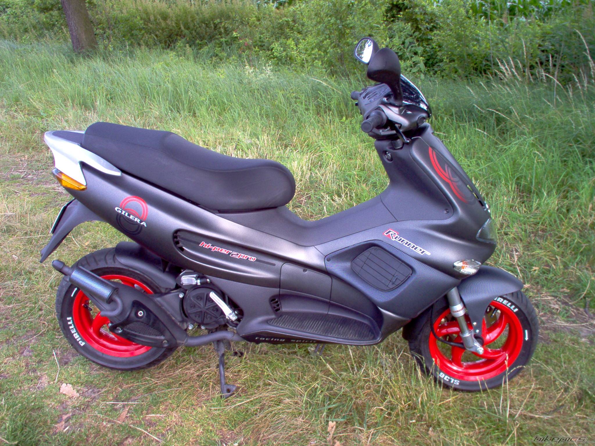 Photo 175402