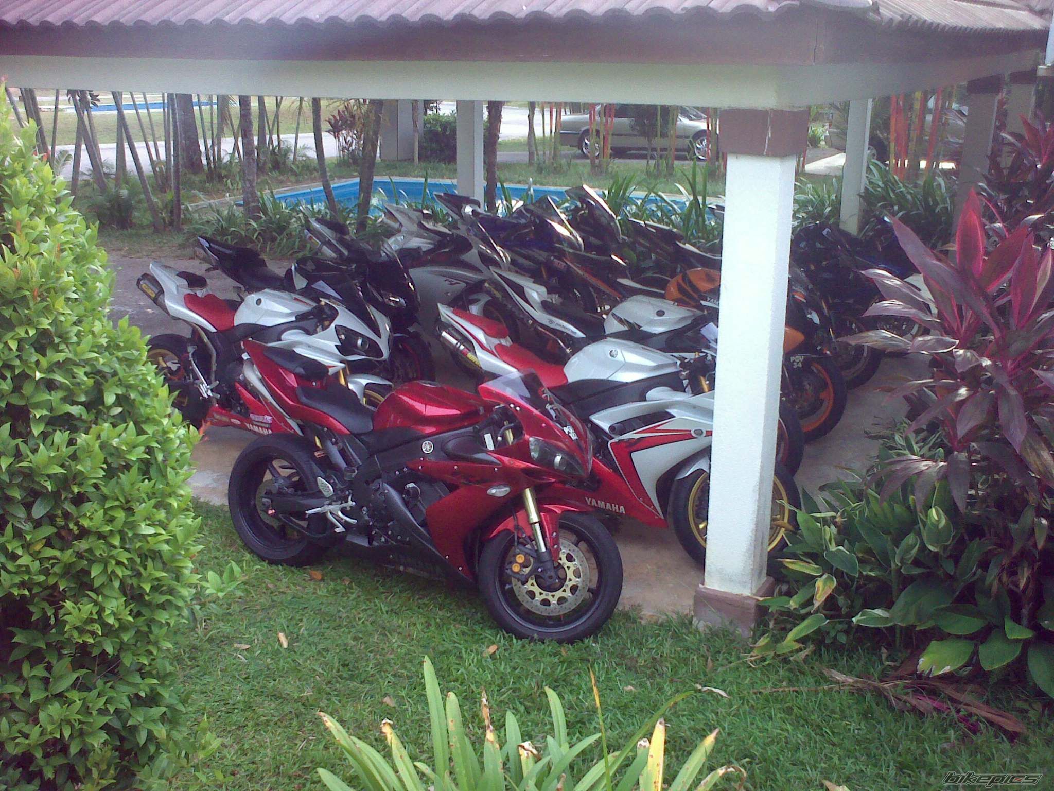 Photo 1754033