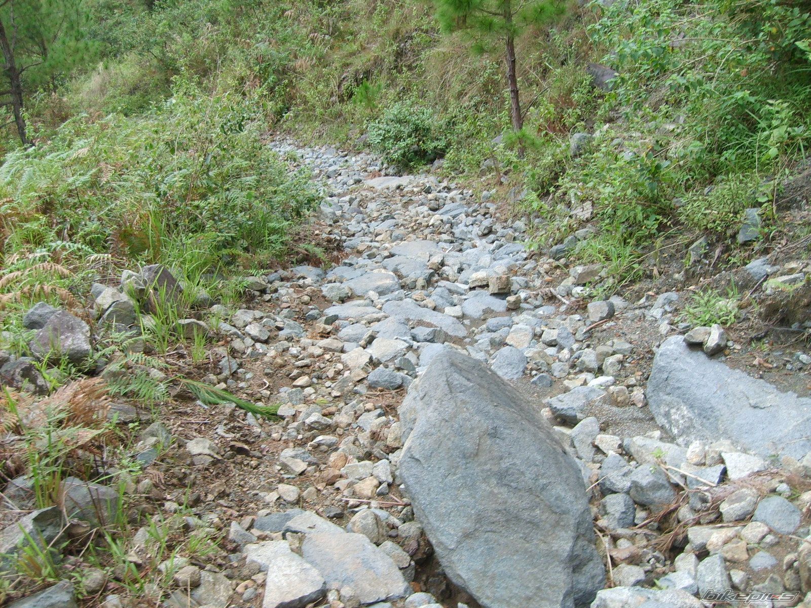 Photo 1754172