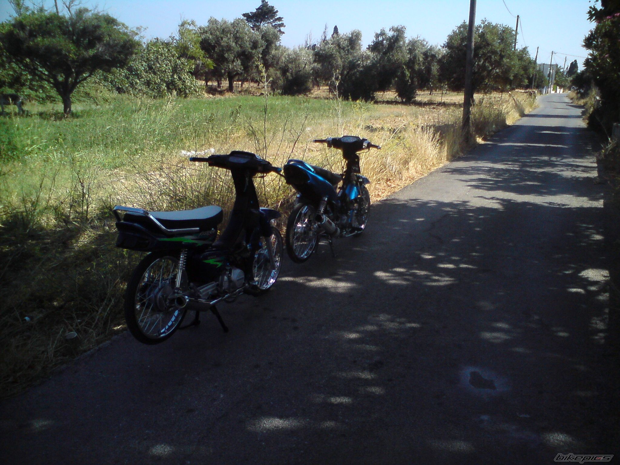 Photo 1754255