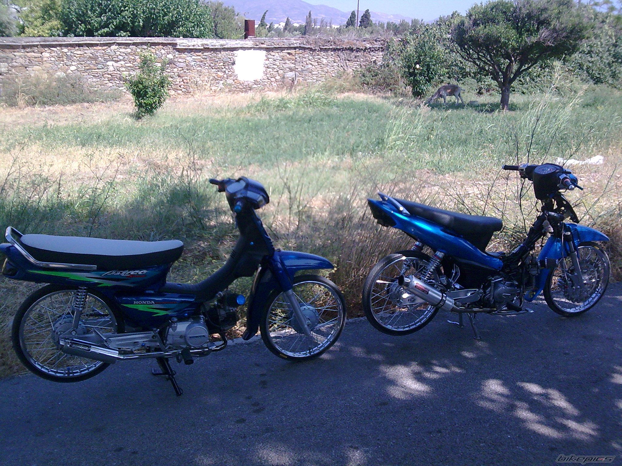 Photo 1754258