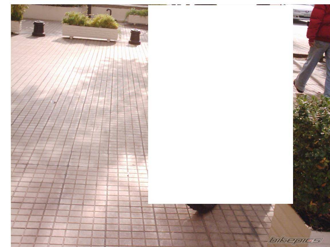 Photo 175431