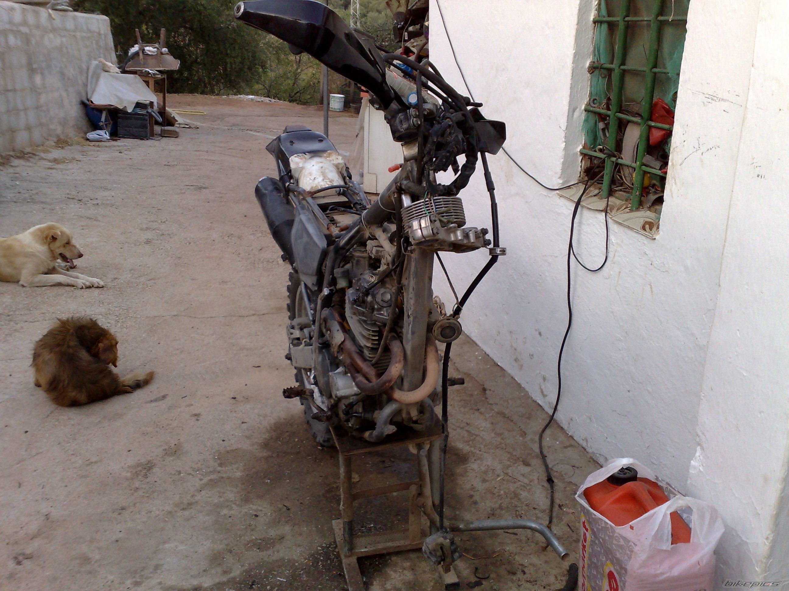 Bike Photo 1754357
