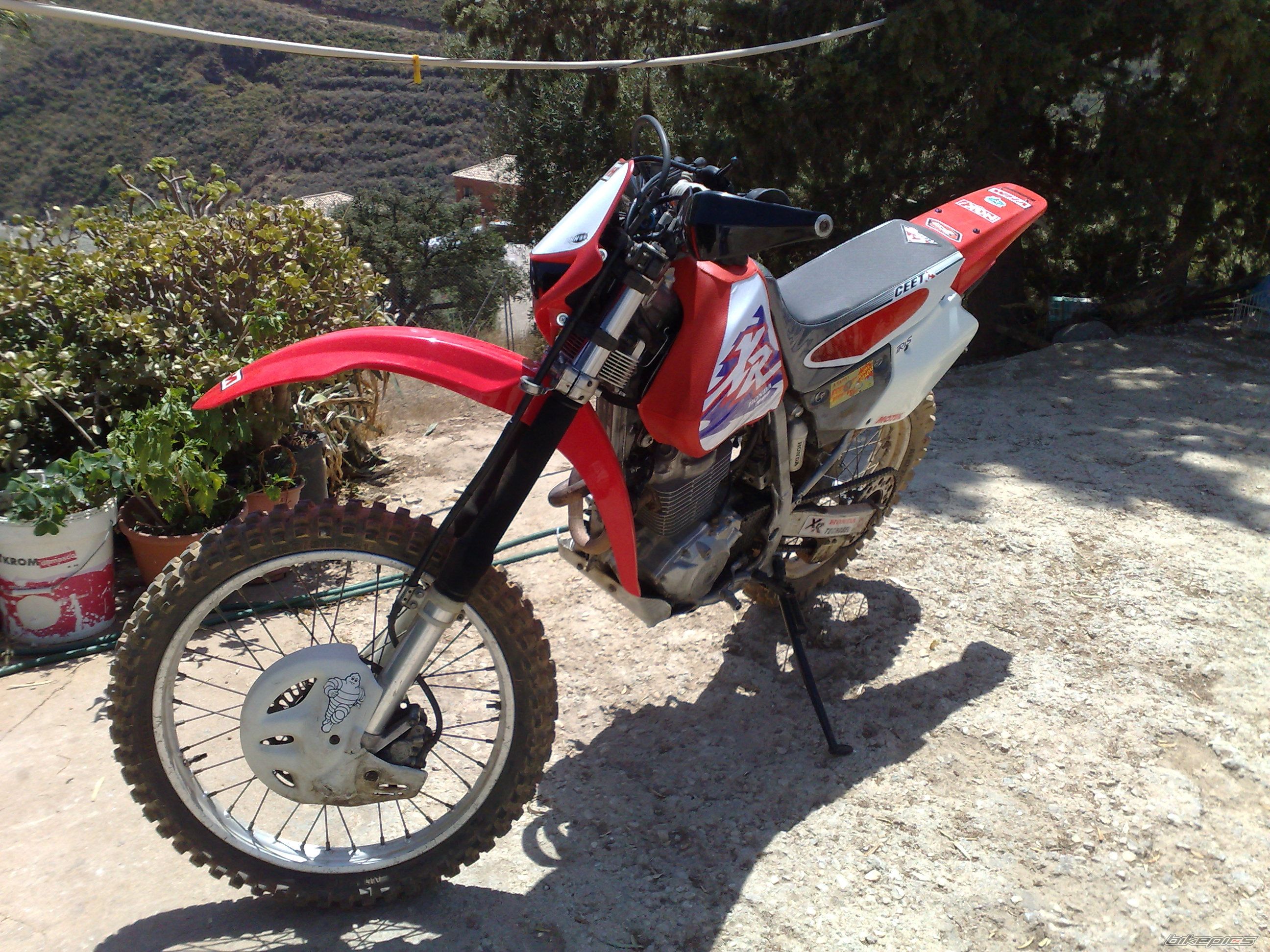 Photo 1754388