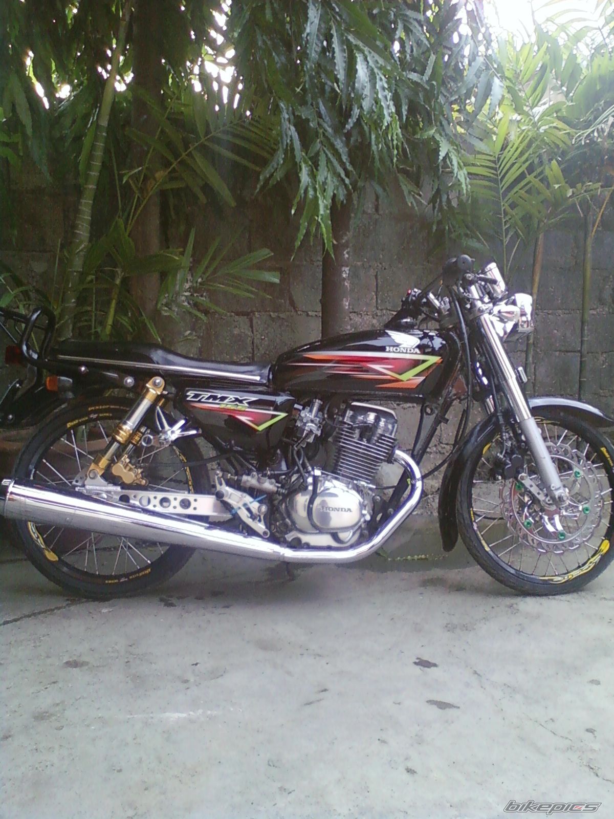 Photo 1754556