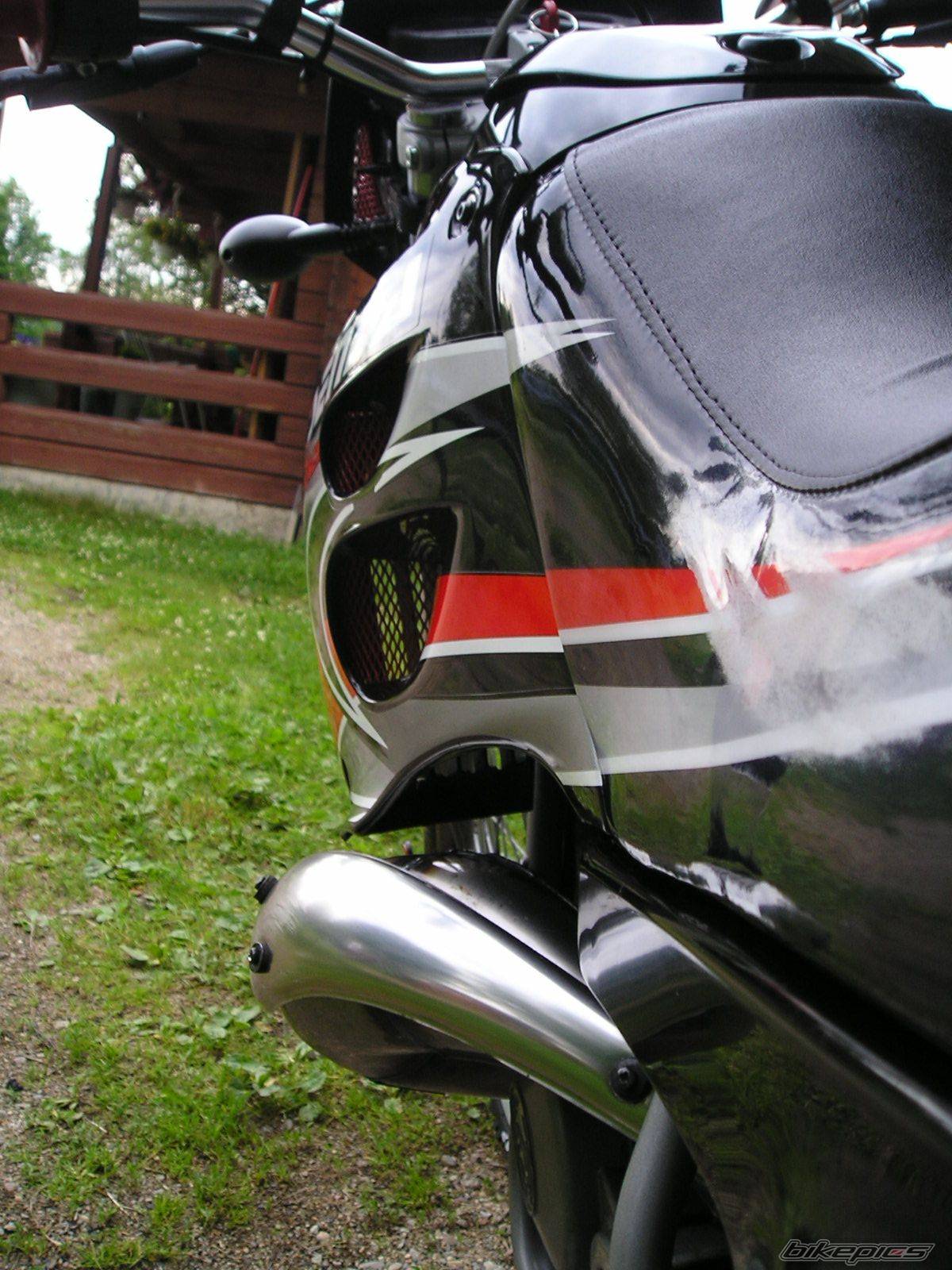 Photo 175474