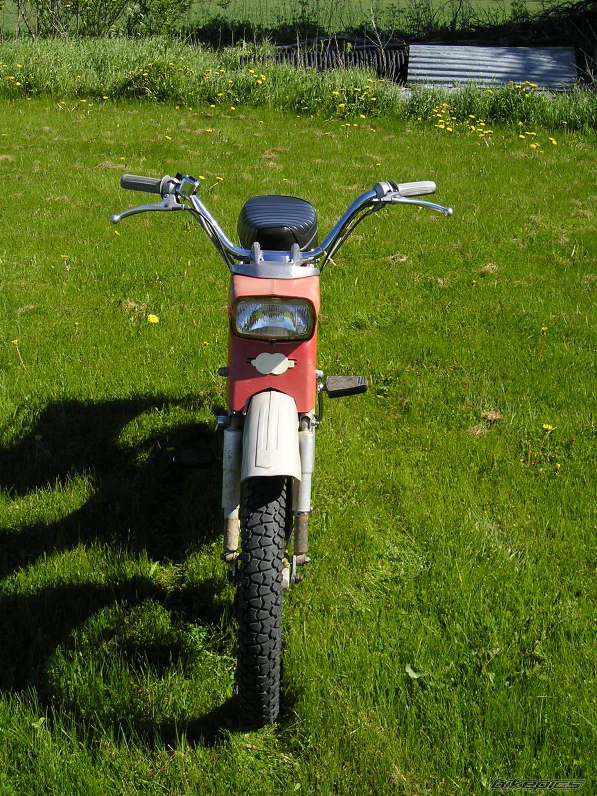 Photo 175488
