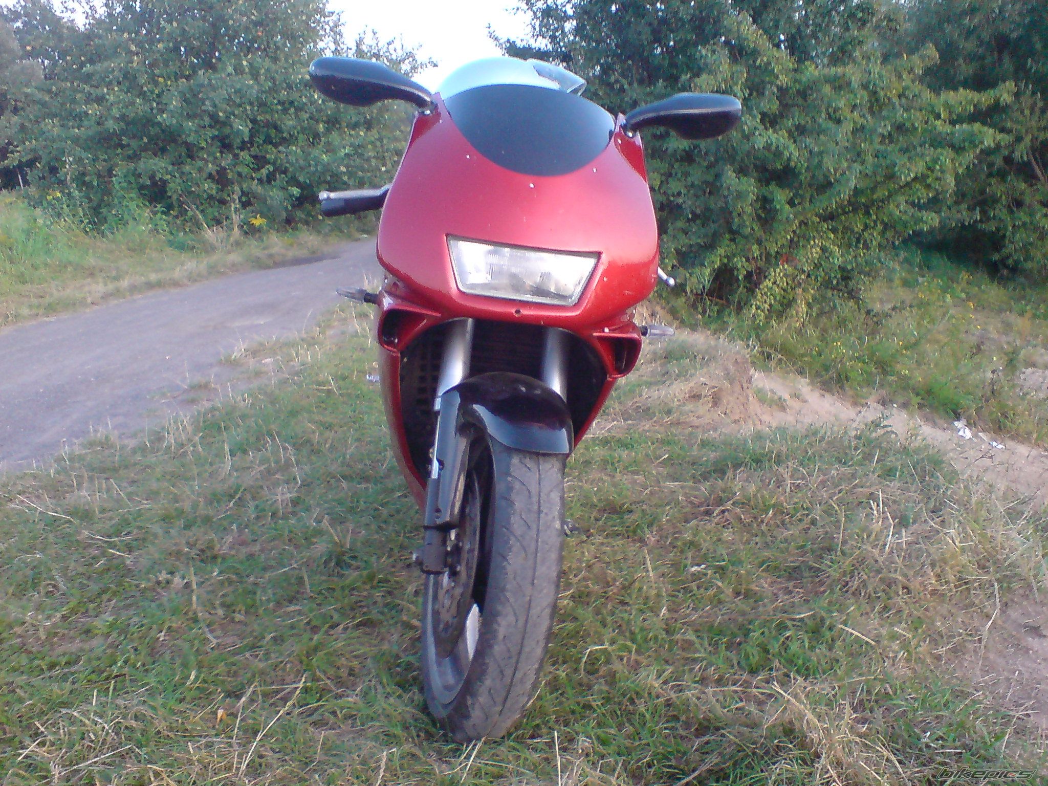 Photo 1754880