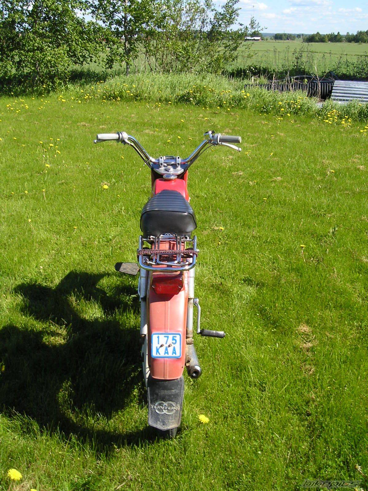 Photo 175491