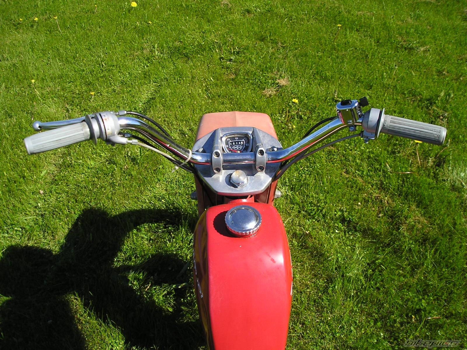 Photo 175493