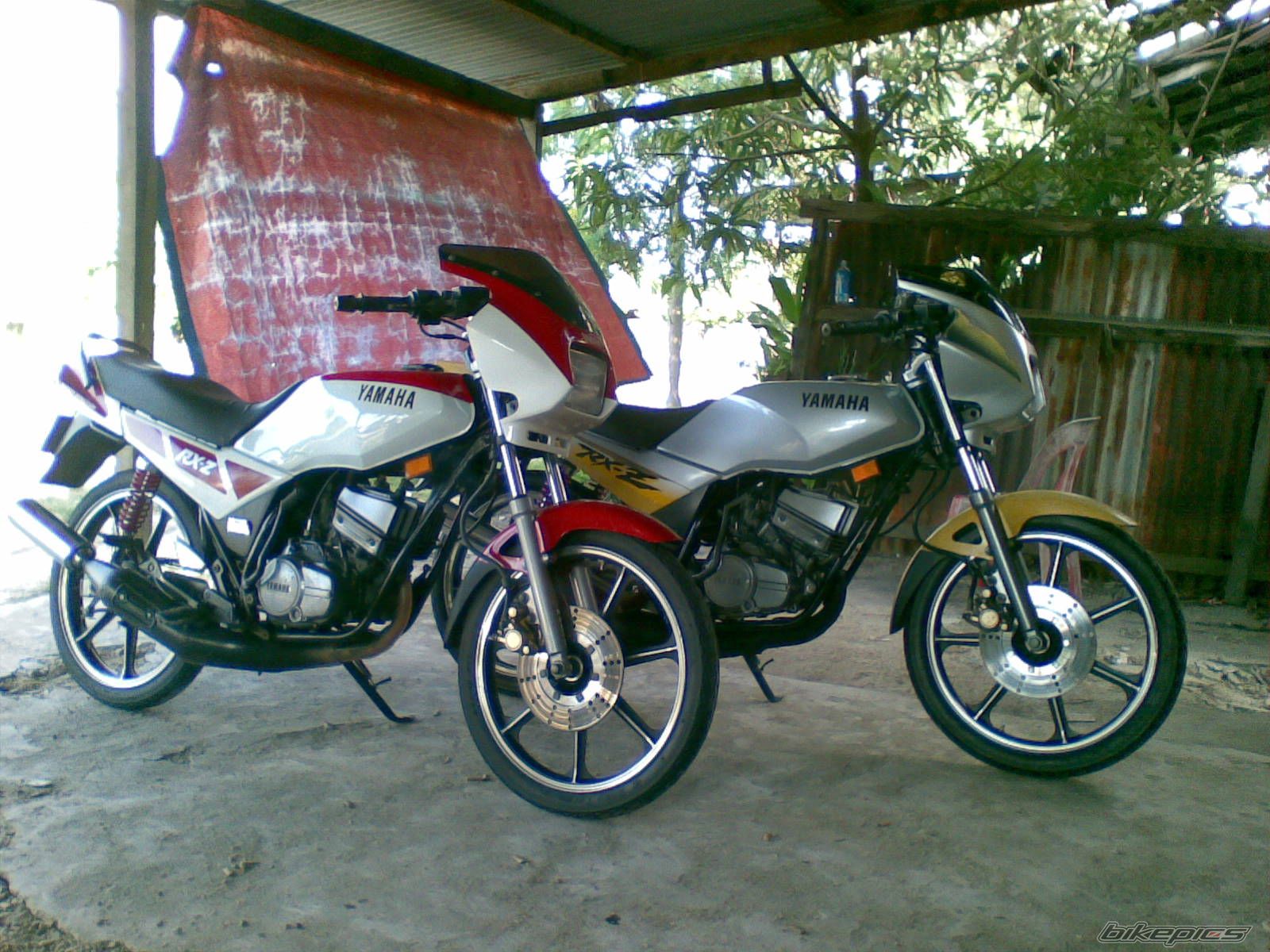 Photo 1755025