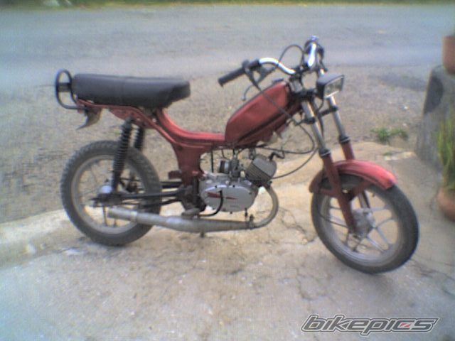 Photo 1755268