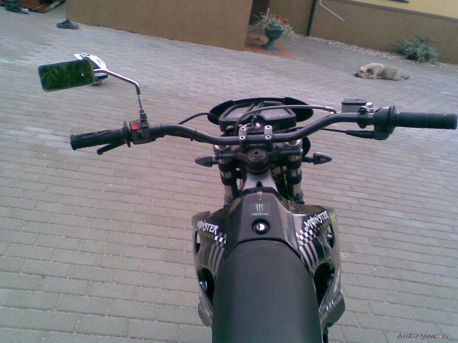Photo 1755319