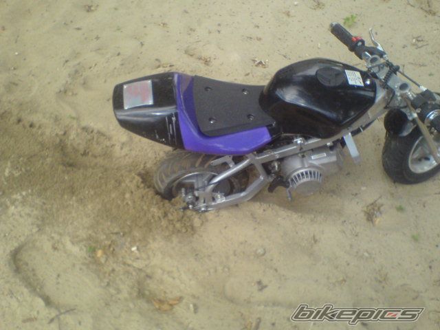 Photo 1755330