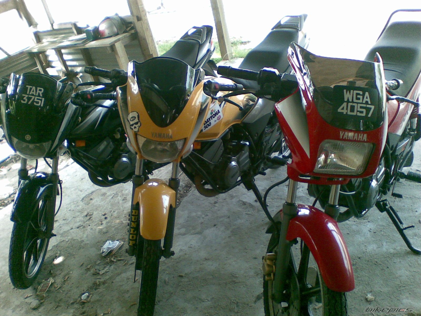 Photo 1755434