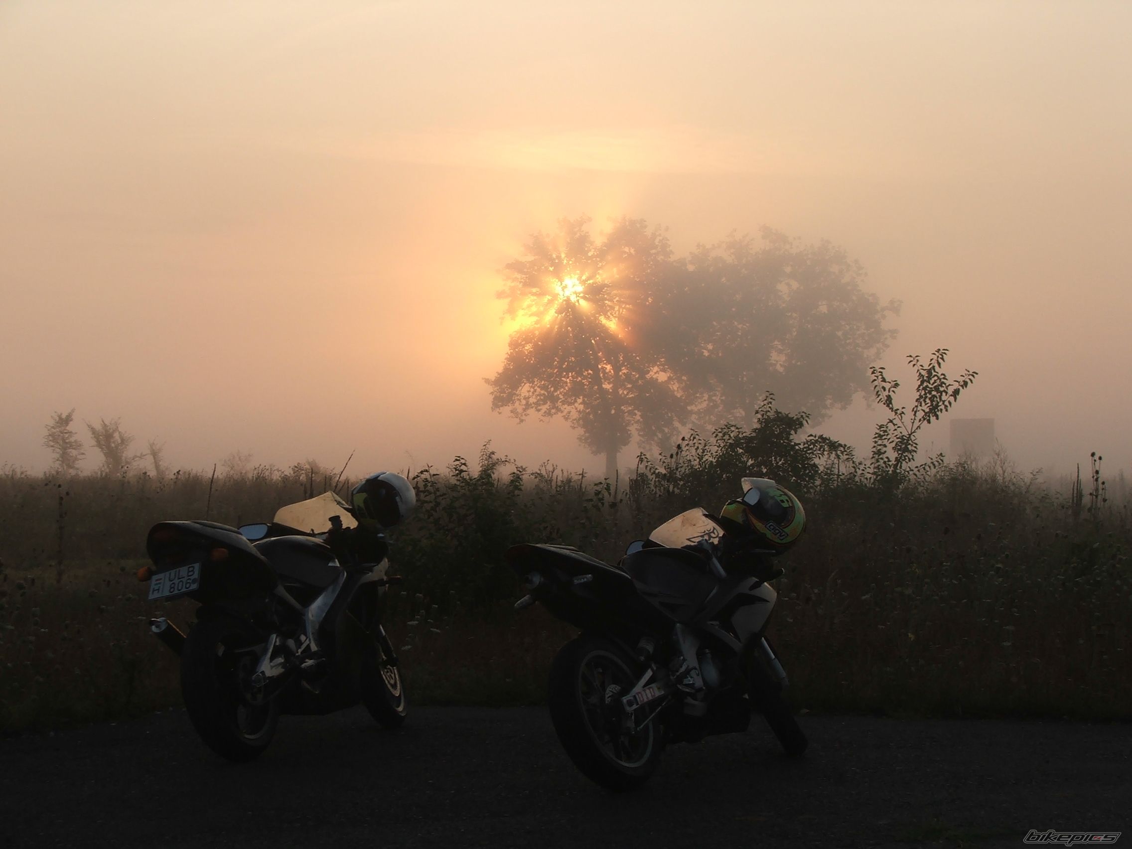 Photo 1755476