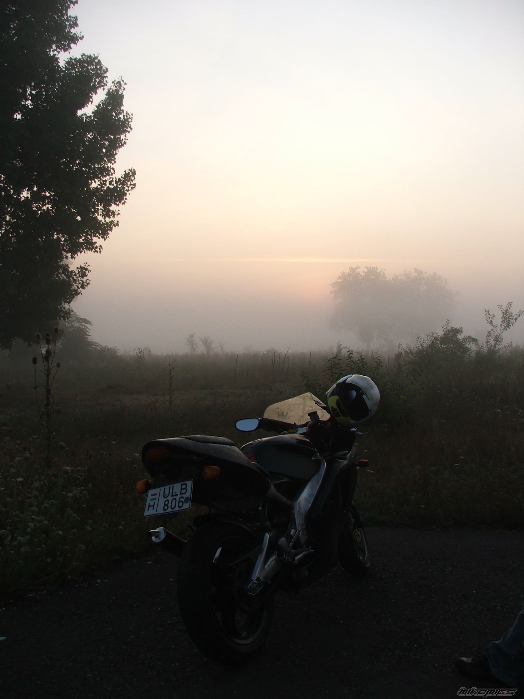 Photo 1755479