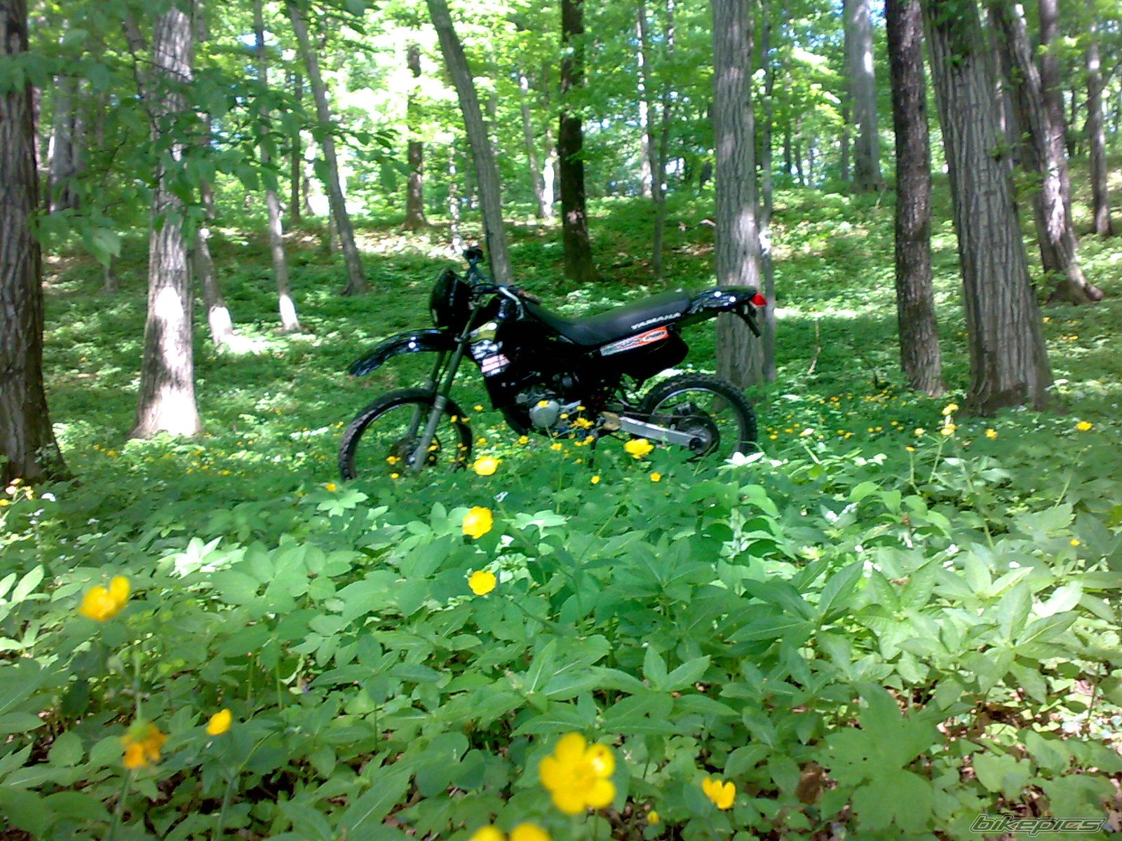 Photo 1755541
