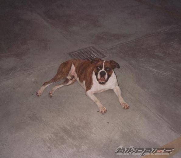 Photo 175571