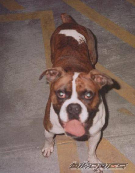 Photo 175575