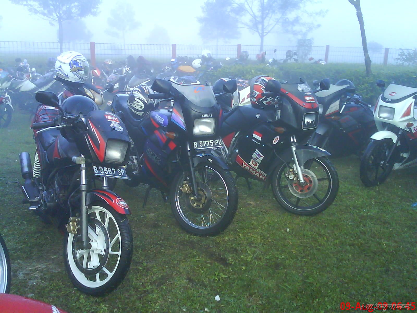 Photo 1755780