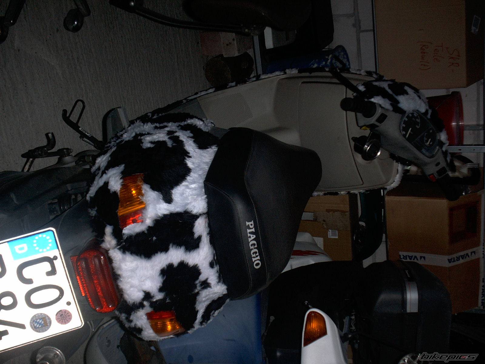 Photo 175583