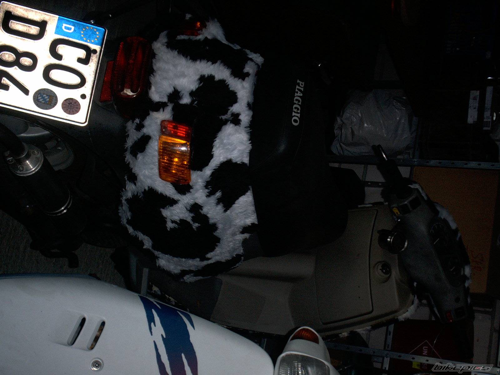 Photo 175584