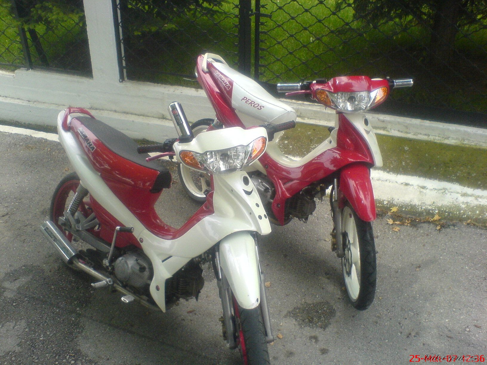 Photo 1755845
