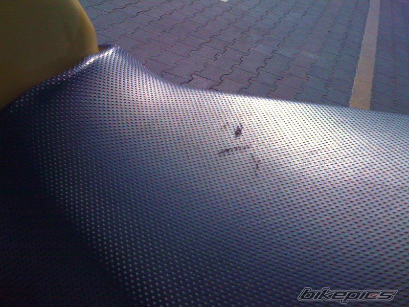 Photo 1755861