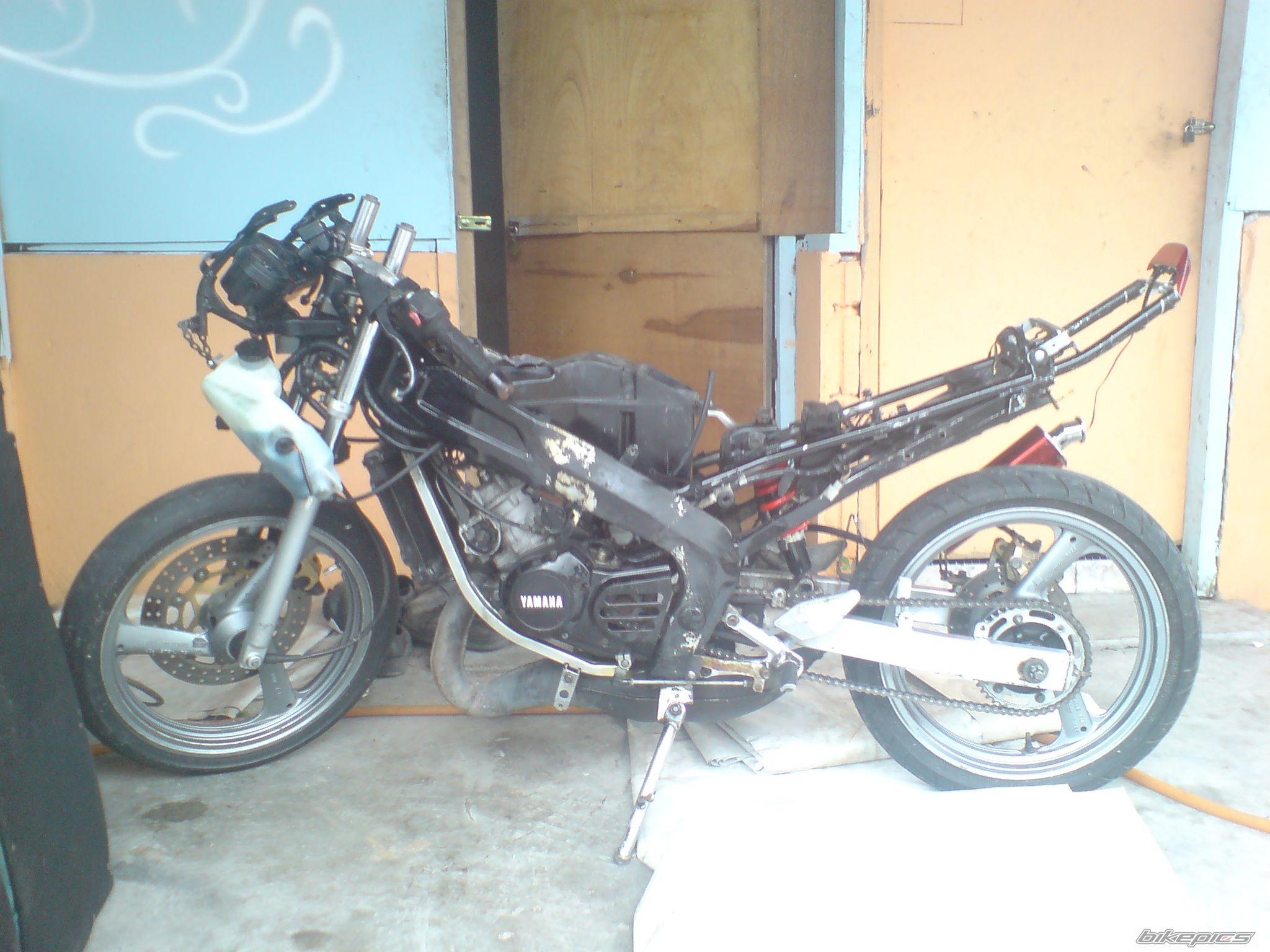 Photo 1755969