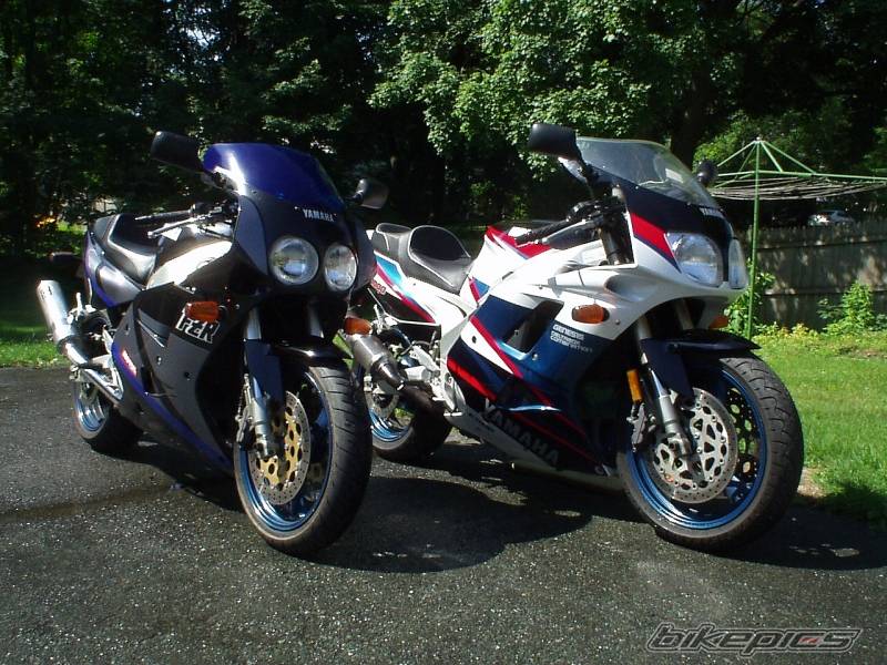 Photo 175659