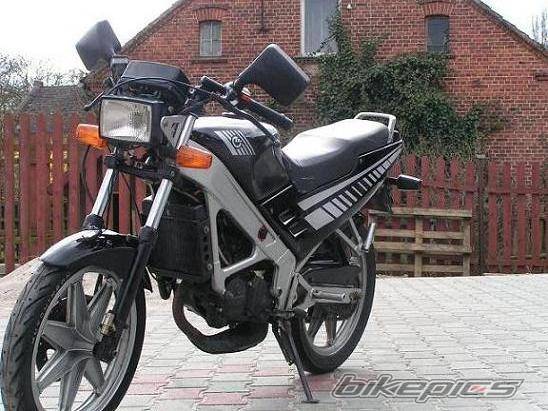 Photo 175711