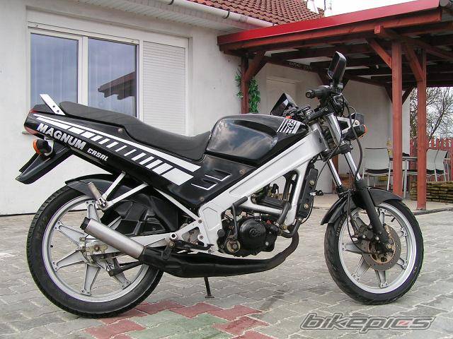 Photo 175713