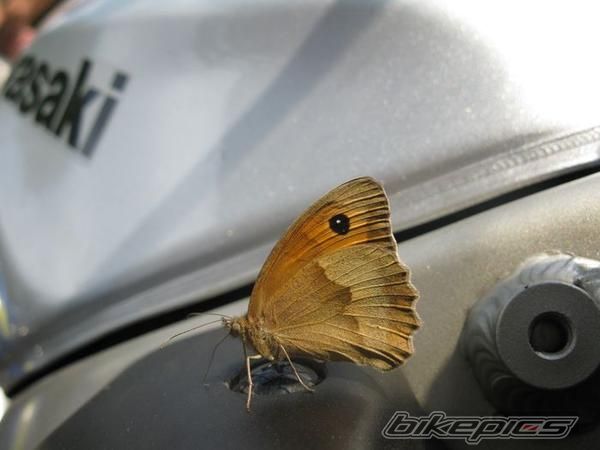 Bike Photo 1757136