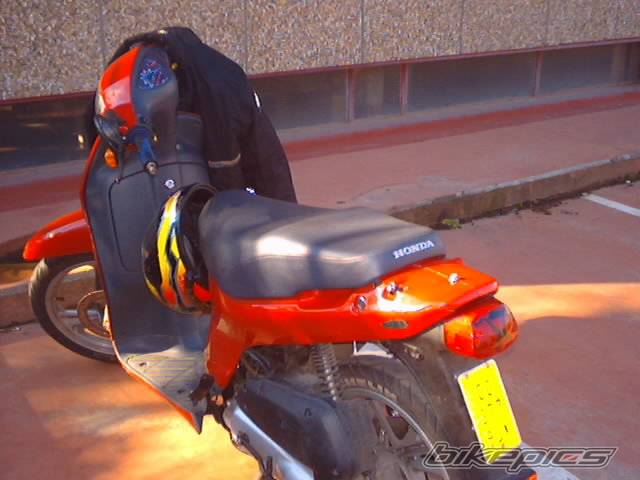 Photo 17572