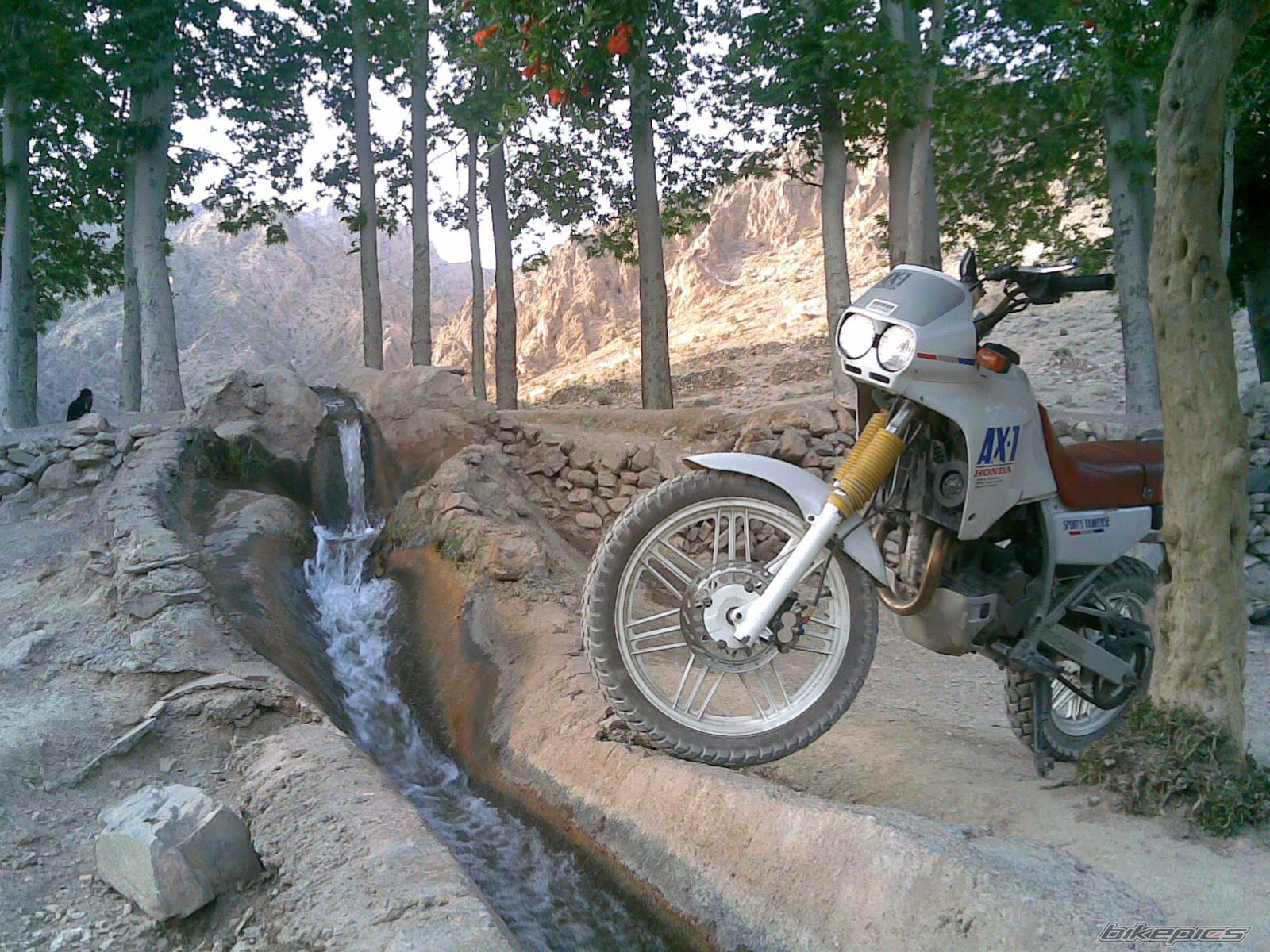 Bike Photo 1757411