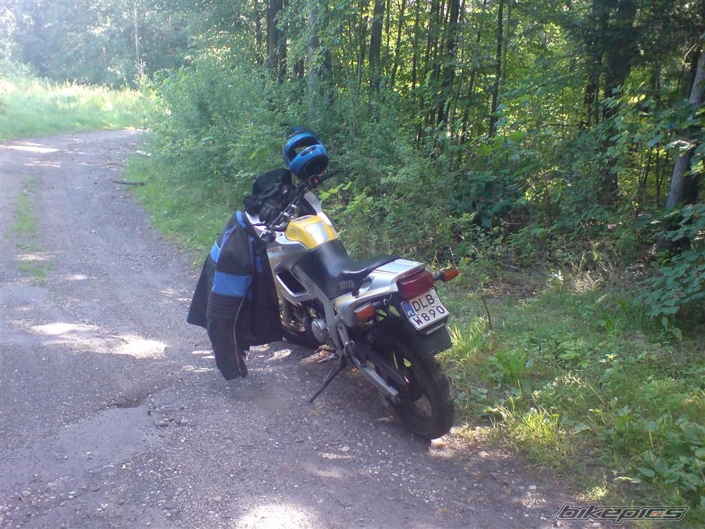 Photo 1757619