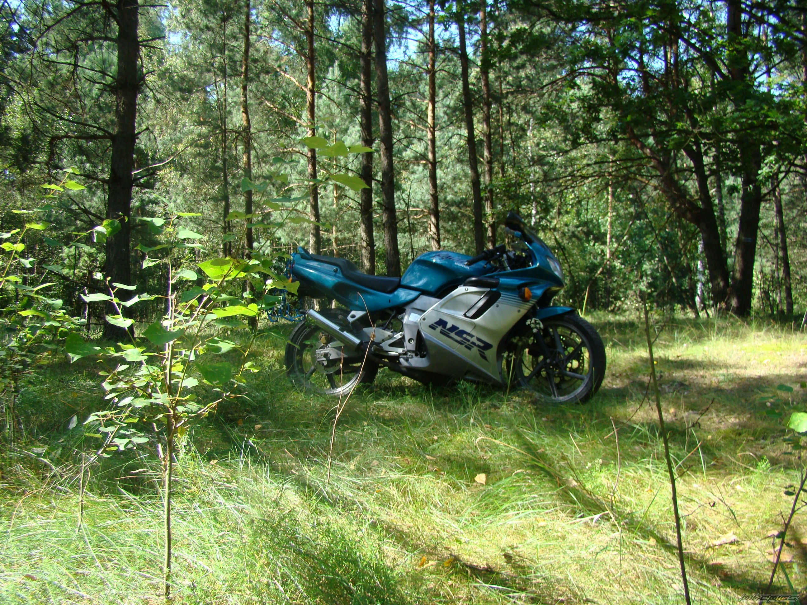 Photo 1757715