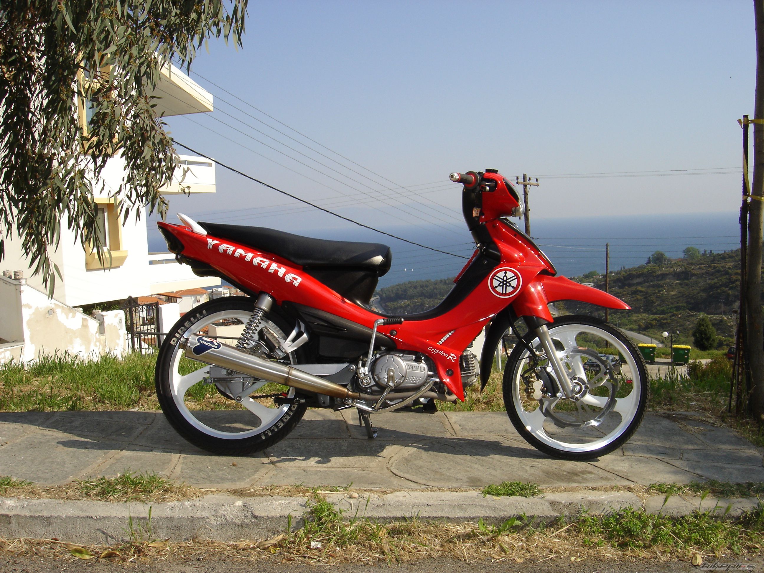 Photo 1757863
