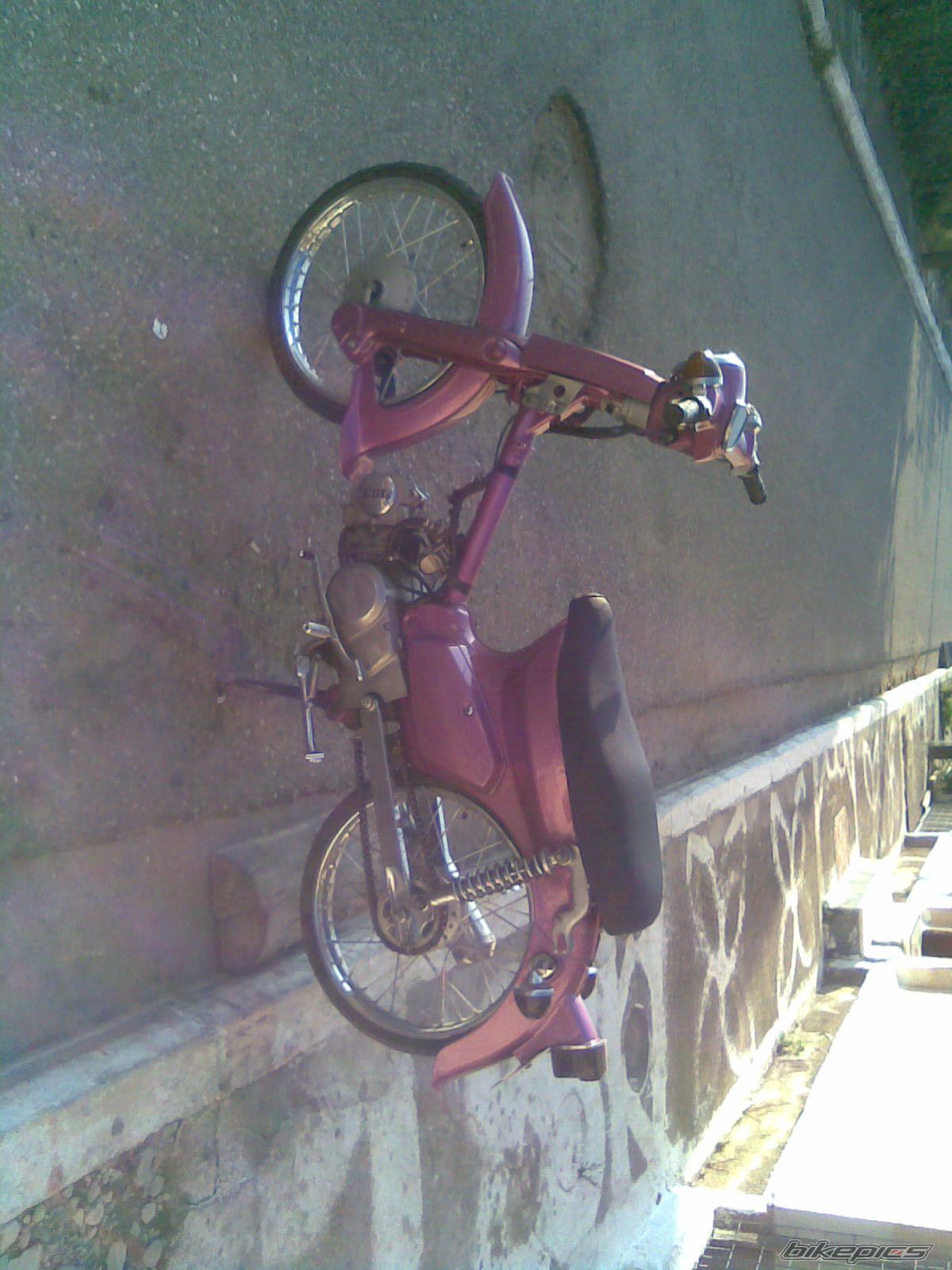 Photo 1757910