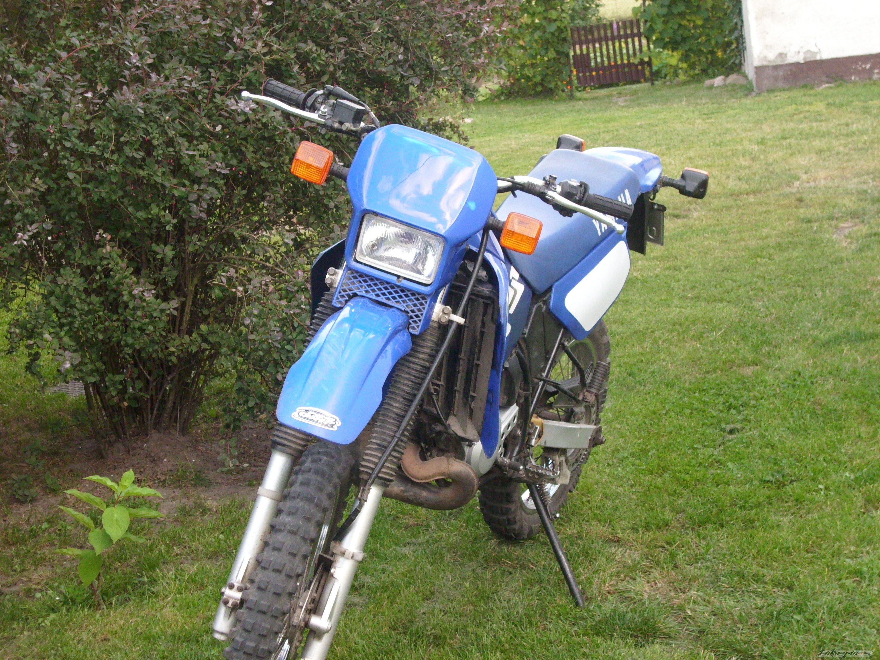 Photo 1757968