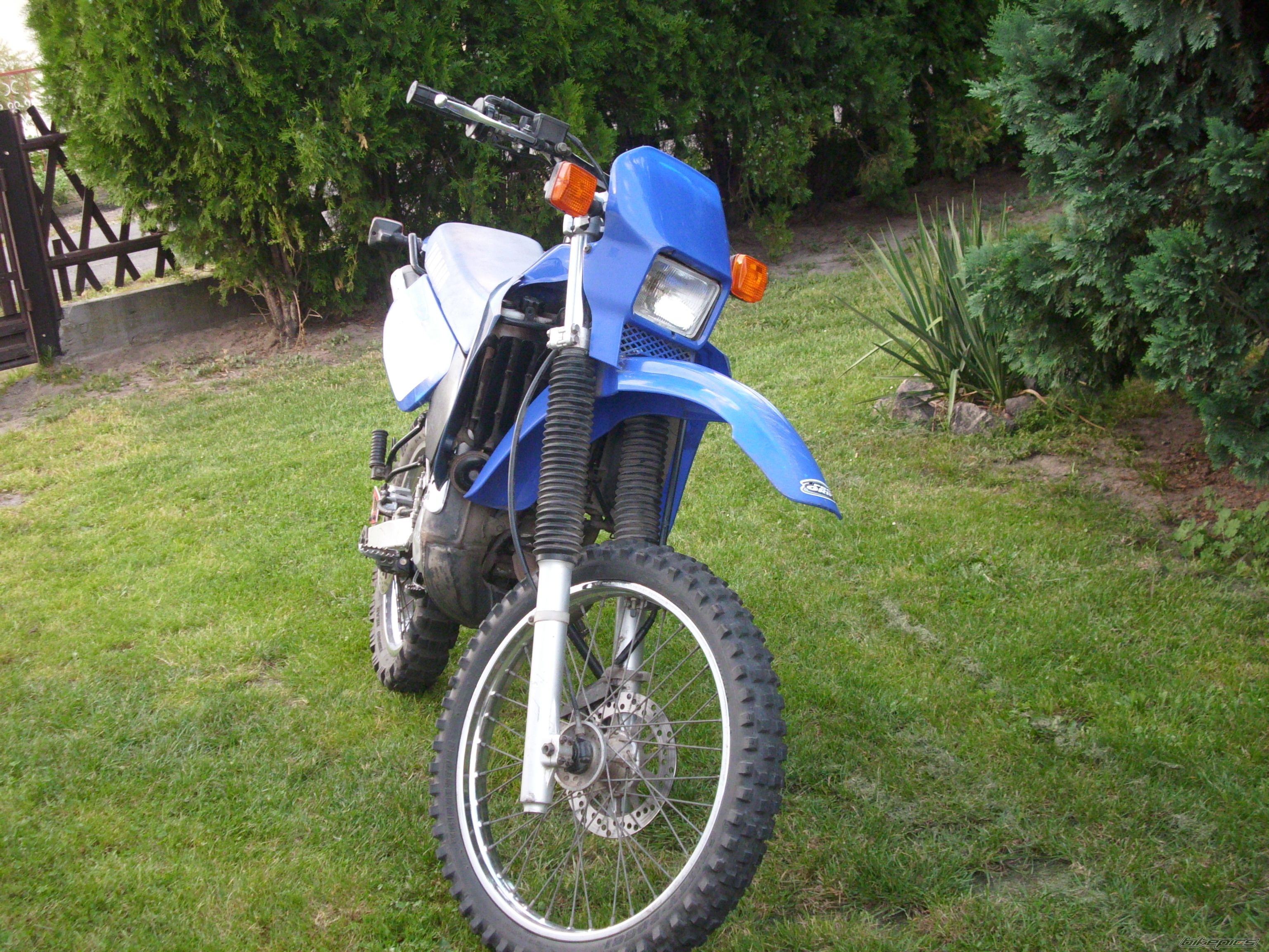 Photo 1757979