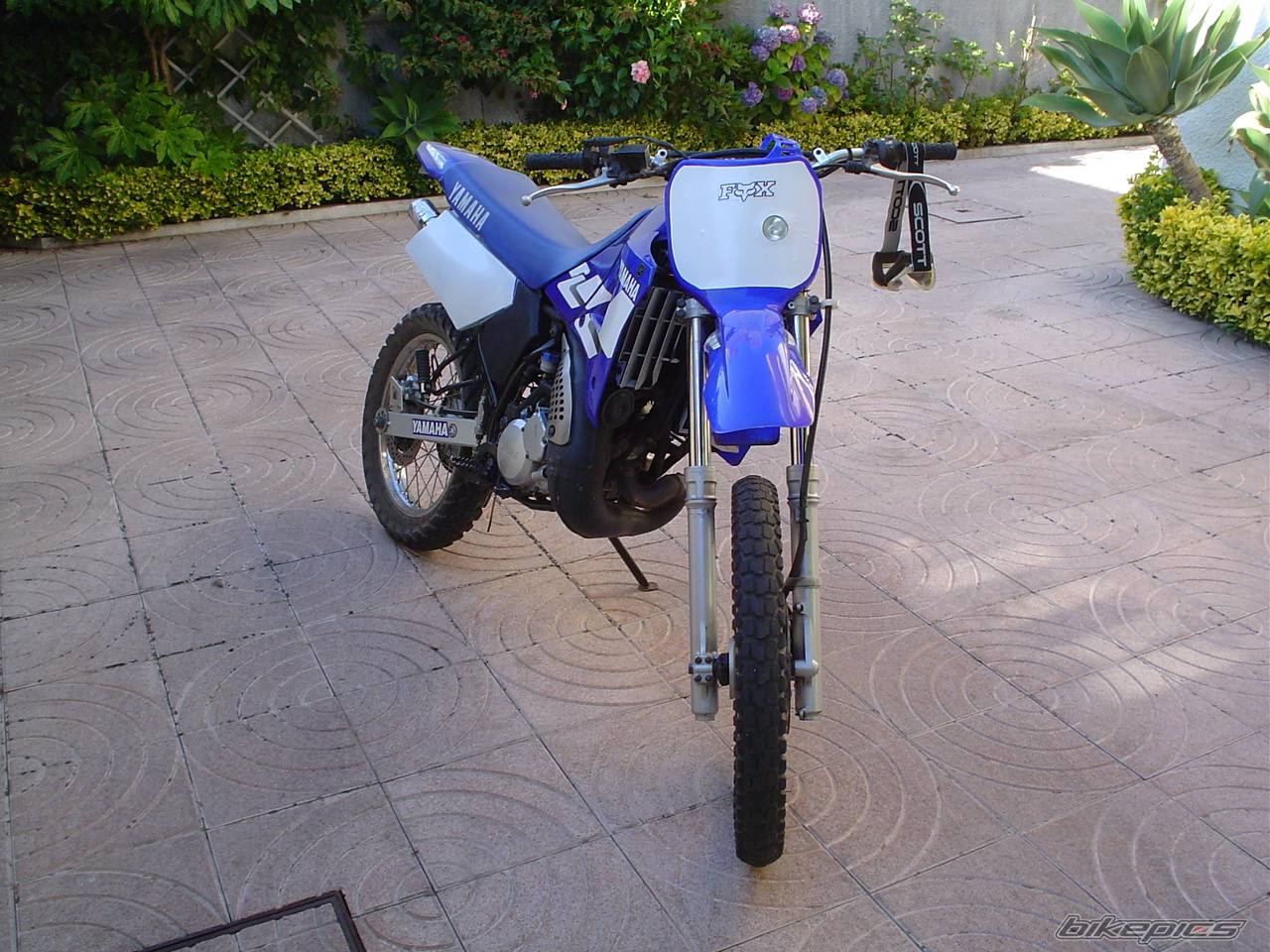 Bike Photo 175817