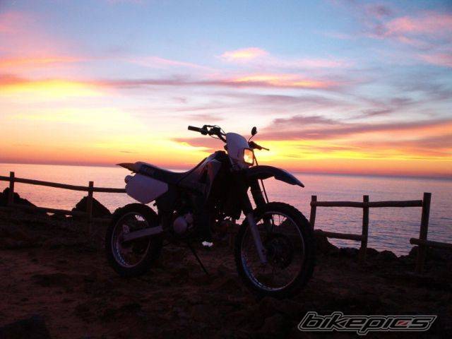 Photo 175822
