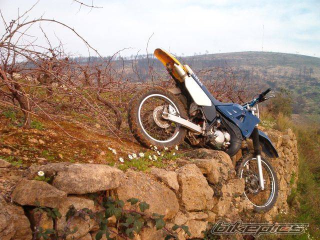 Photo 175825