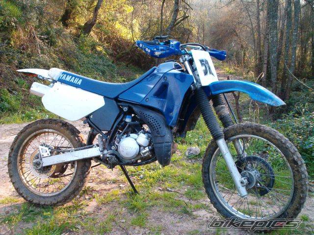 Photo 175827