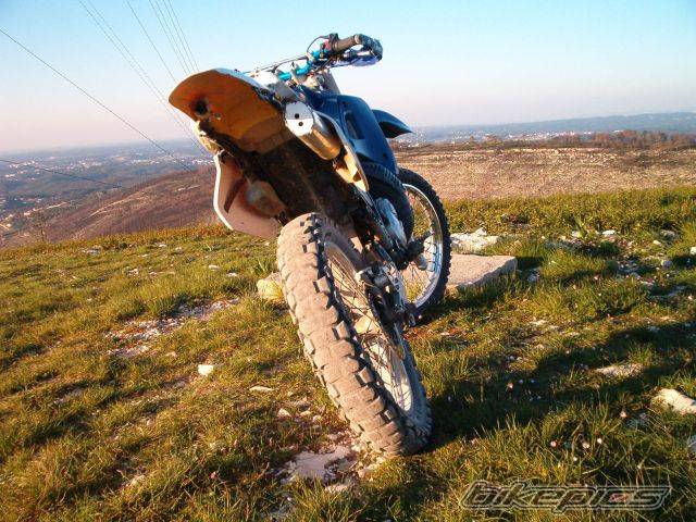 Photo 175829