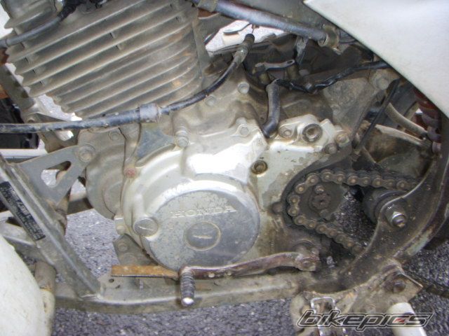 Bike Photo 1758314